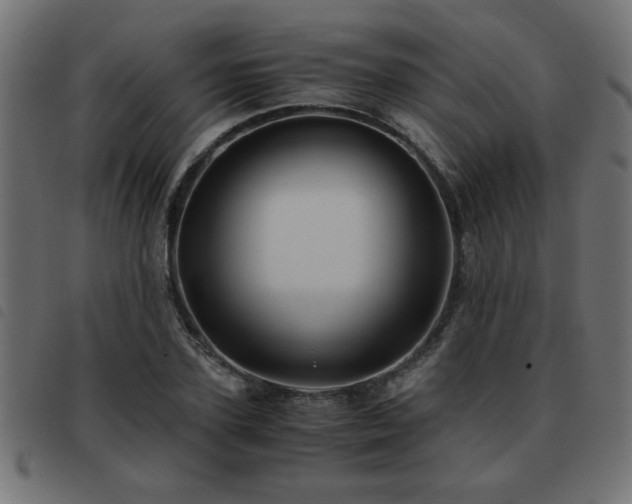 X0000093440931200710121330