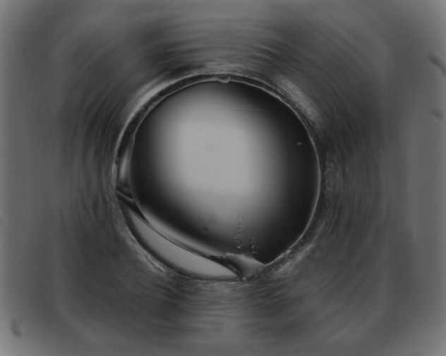 X0000093440932200710121330