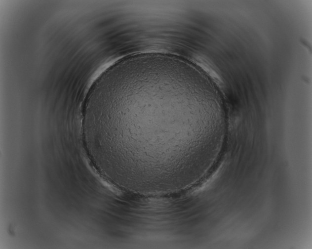 X0000093440933200710121330