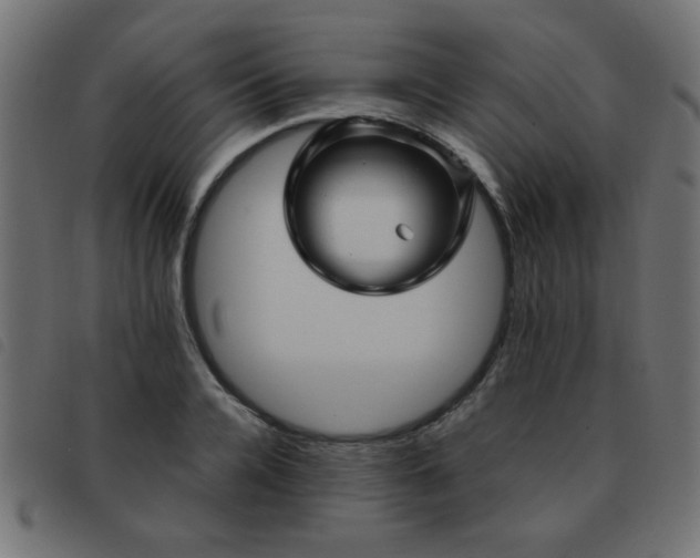 X0000093440936200710121330