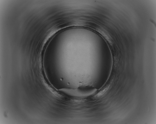 X0000093440939200710121330