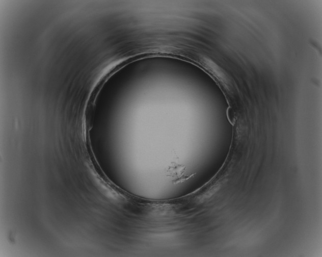 X0000093440940200710121330