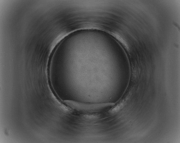 X0000093440943200710121330