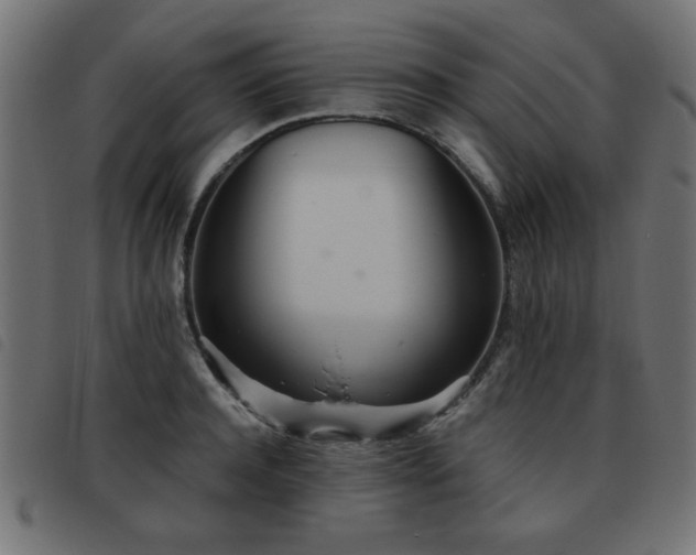 X0000093440944200710121330