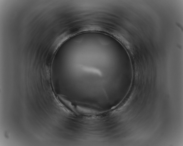X0000093440945200710121330