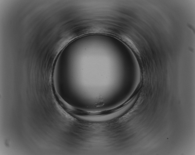 X0000093440946200710121330