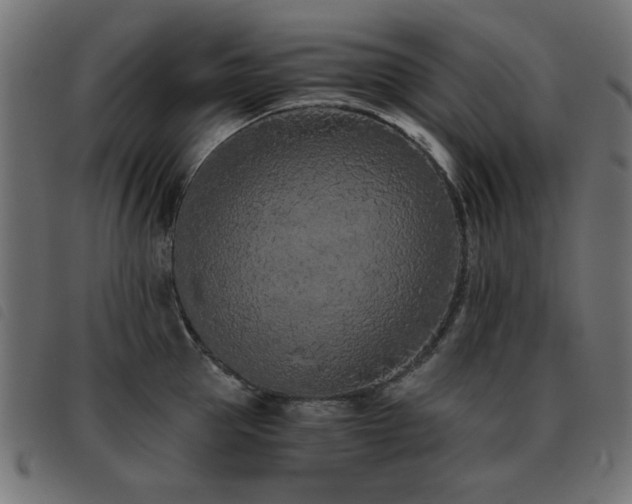 X0000093440953200710121330
