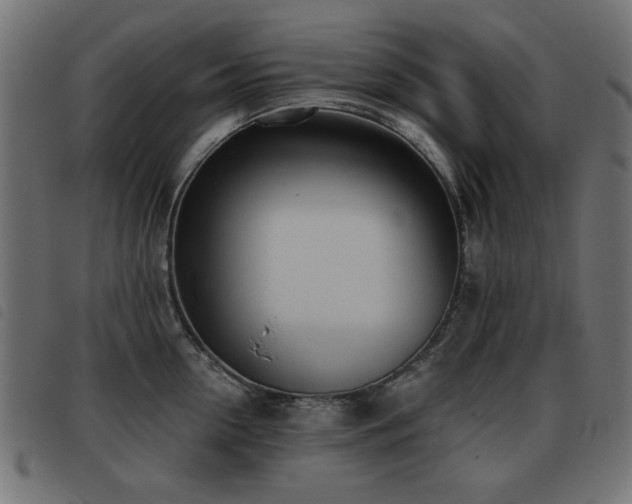 X0000093440954200710121330