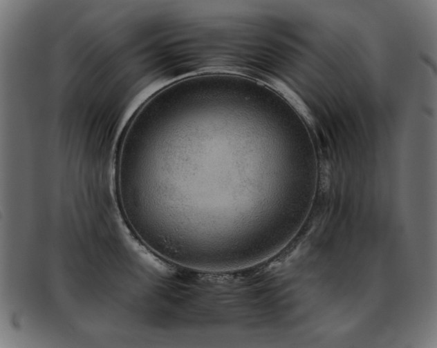 X0000093440955200710121330
