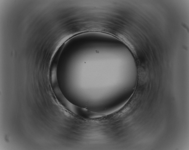 X0000093440956200710121330