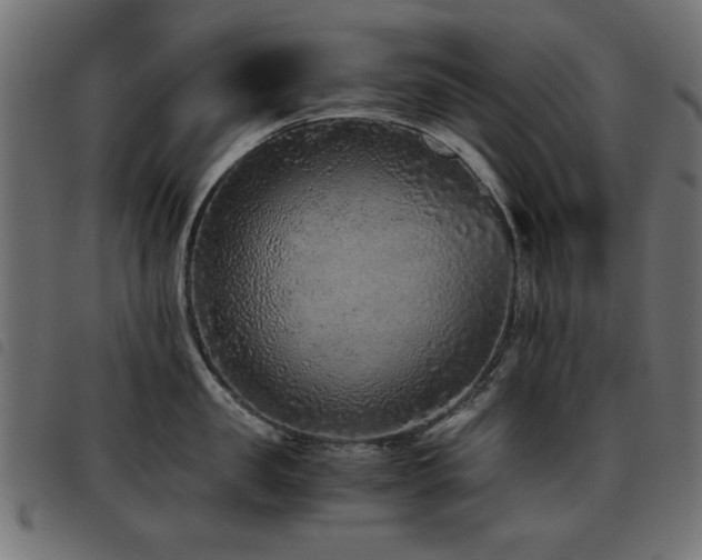 X0000093440957200710121330