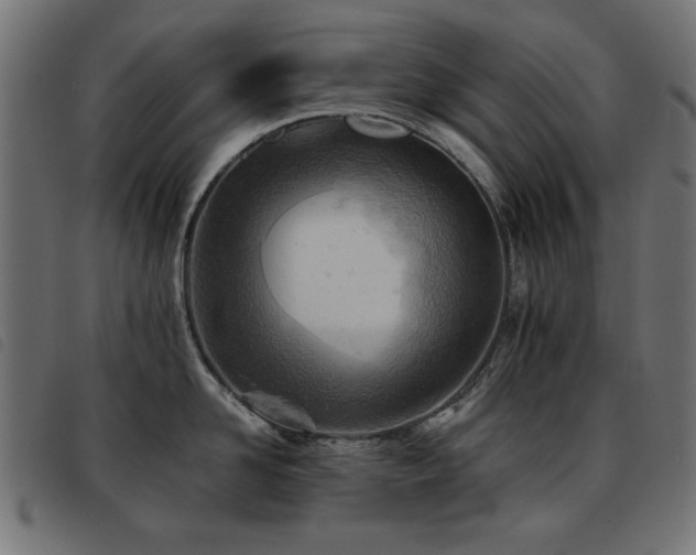 X0000093440958200710121330