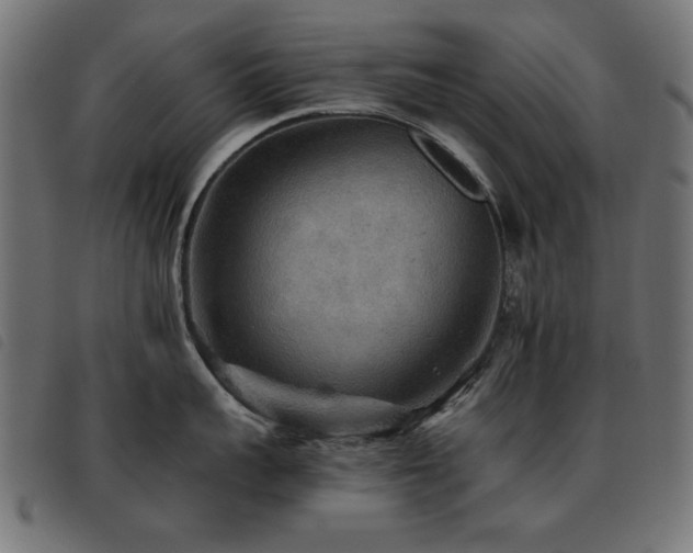 X0000093440959200710121330