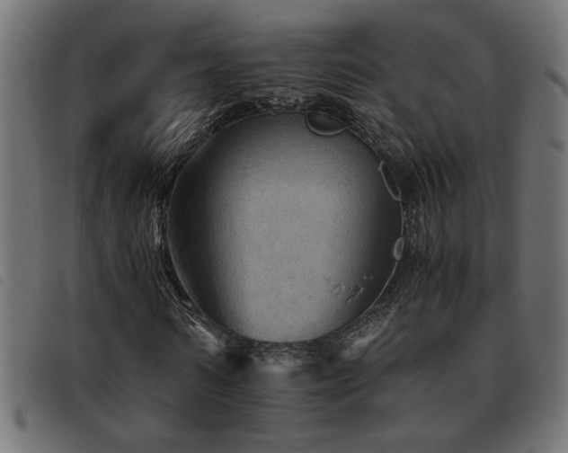 X0000093440962200710121330