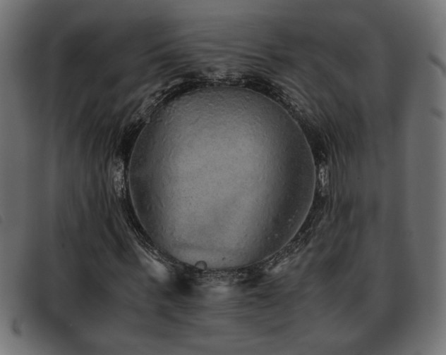 X0000093440963200710121330