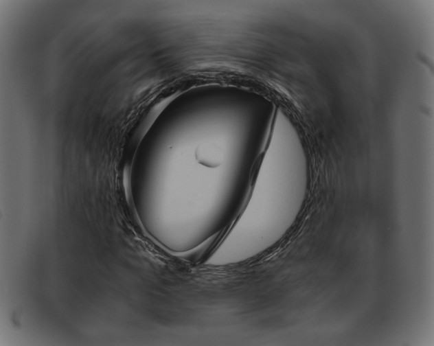 X0000093440965200710121329