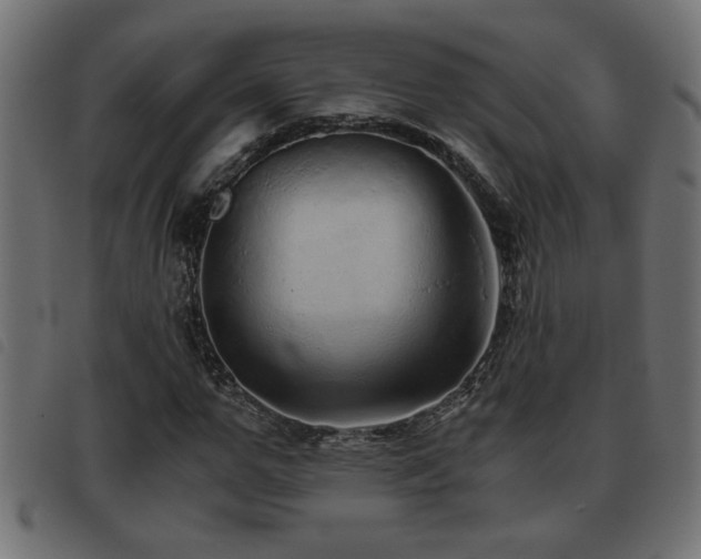 X0000093440967200710121329