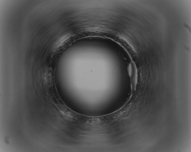 X0000093440968200710121329