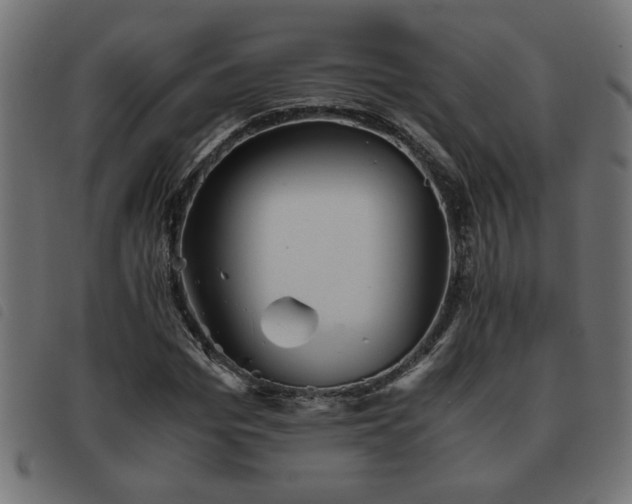 X0000093440969200710121329
