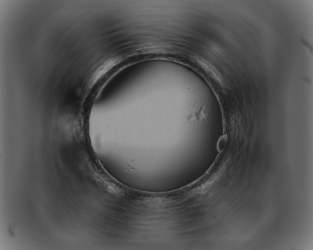 X0000093440970200710121329