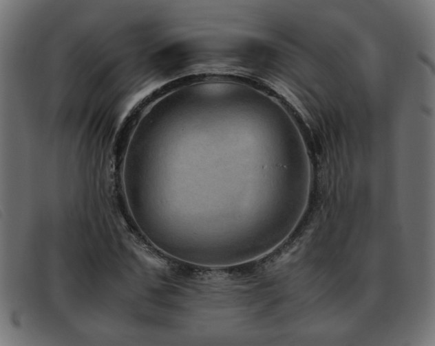 X0000093440971200710121329