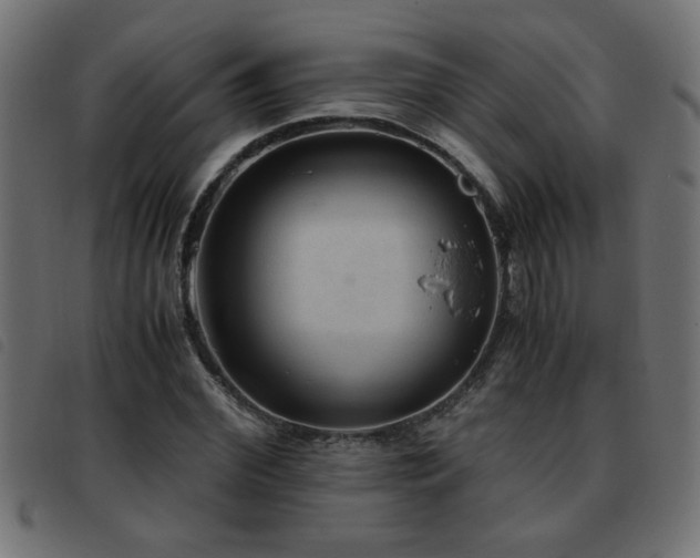 X0000093440972200710121329