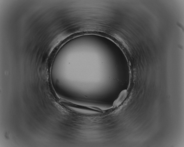 X0000093440973200710121329