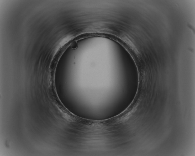 X0000093440974200710121329