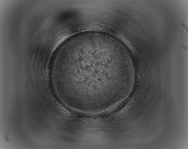 X0000093440975200710121329