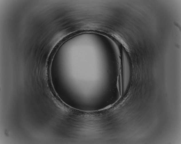 X0000093440976200710121329