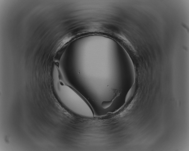 X0000093440977200710121329