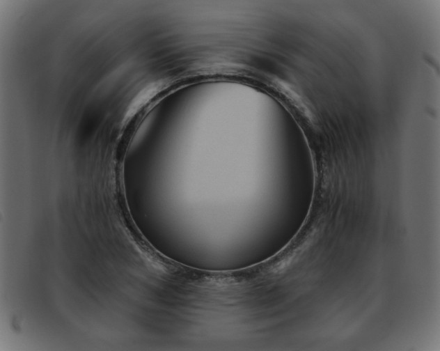 X0000093440978200710121329