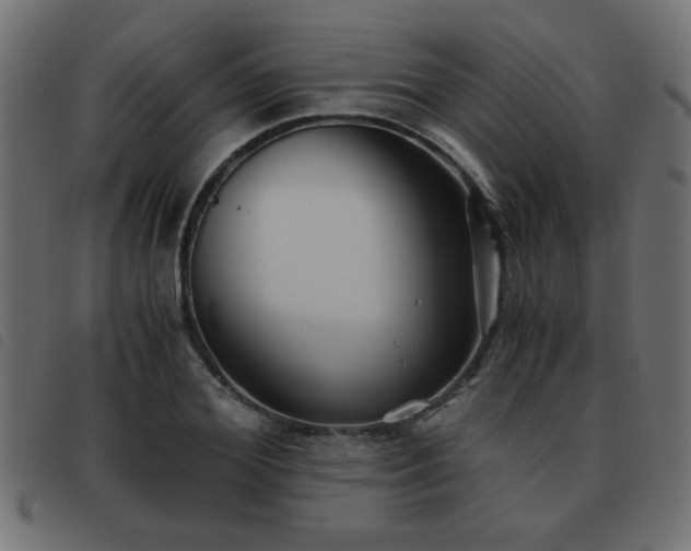X0000093440980200710121329