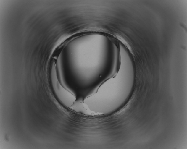 X0000093440981200710121329