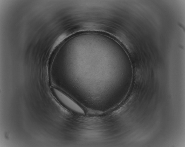 X0000093440982200710121329