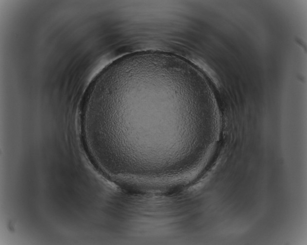 X0000093440983200710121329