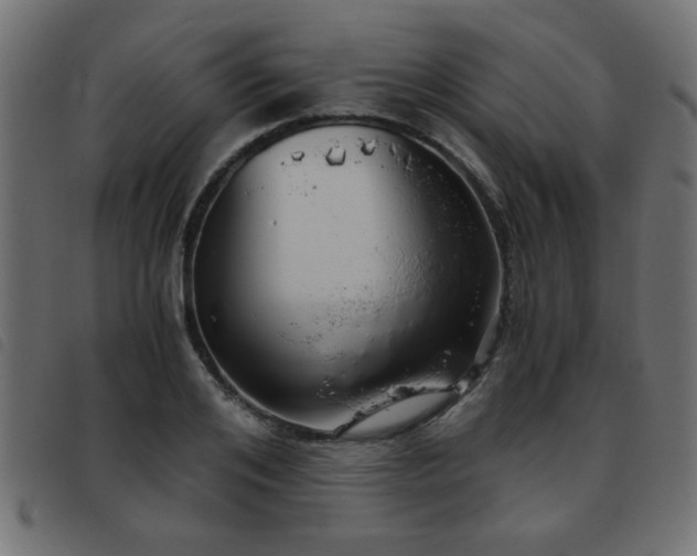 X0000093440984200710121329