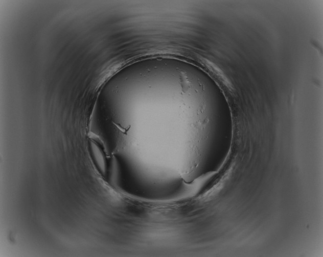 X0000093440985200710121329