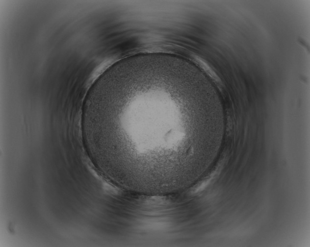X0000093440986200710121329