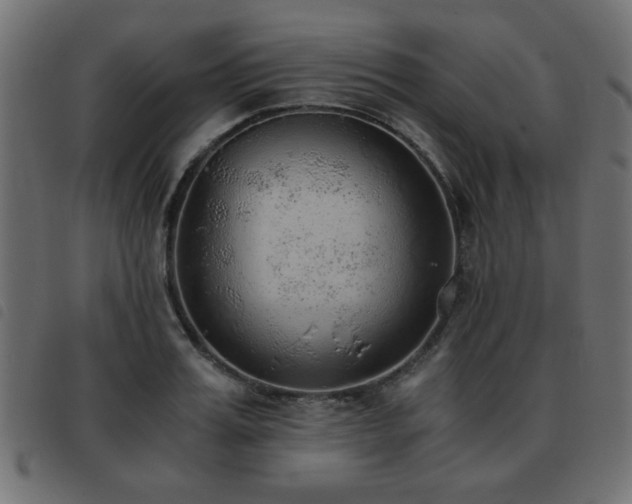 X0000093440987200710121329