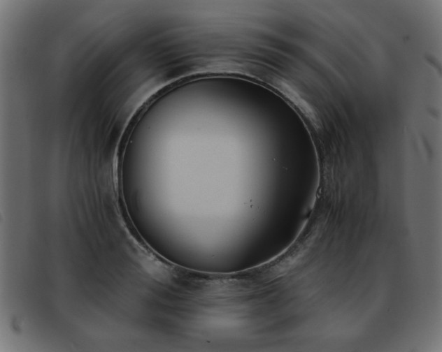 X0000093440988200710121329