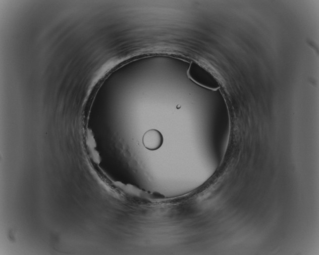 X0000093440989200710121329