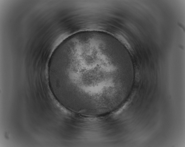 X0000093440990200710121329