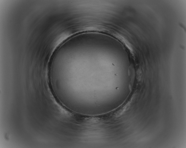 X0000093440991200710121329