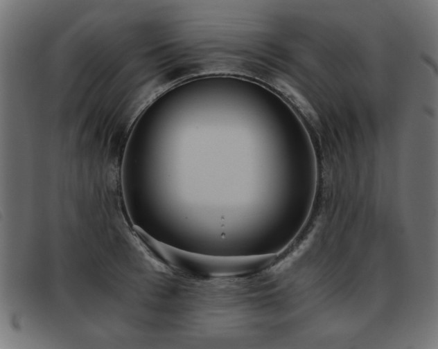 X0000093440993200710121329