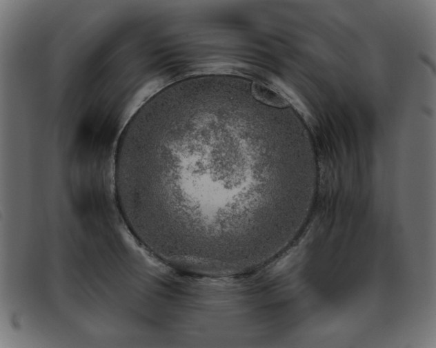 X0000093440994200710121329