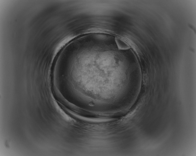 X0000093440995200710121329
