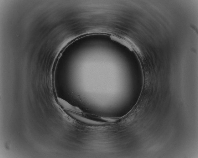 X0000093440996200710121329