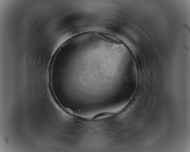 X0000093440999200710121329