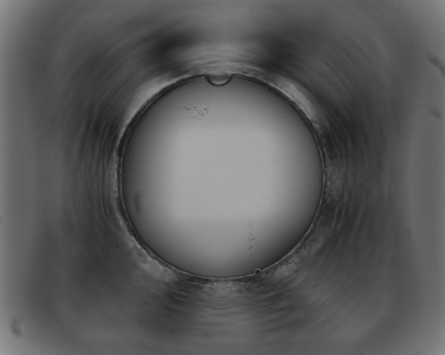 X0000093441000200710121329
